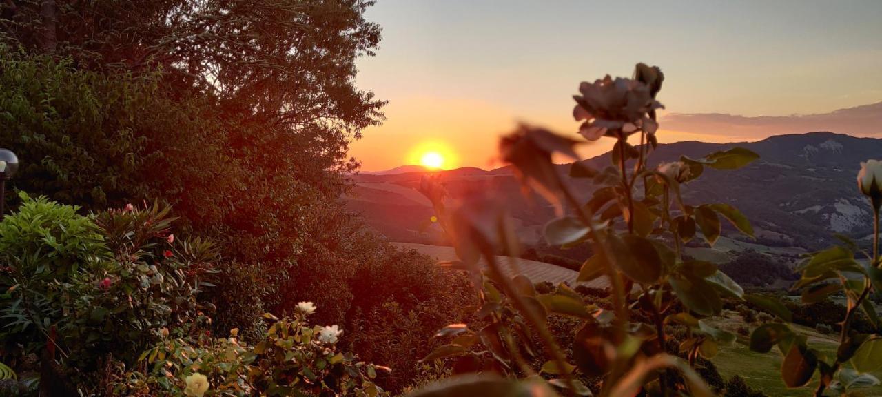 B&B La Terrazza Del Subasio Assisi Buitenkant foto