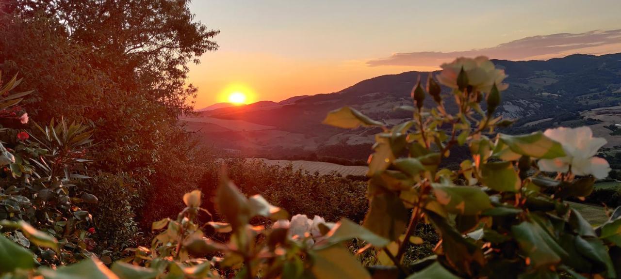 B&B La Terrazza Del Subasio Assisi Buitenkant foto