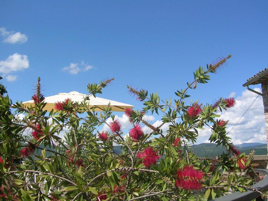 B&B La Terrazza Del Subasio Assisi Kamer foto