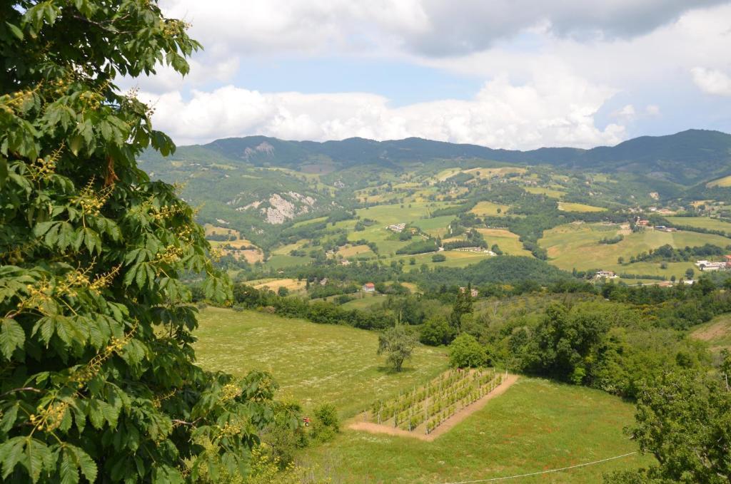 B&B La Terrazza Del Subasio Assisi Buitenkant foto