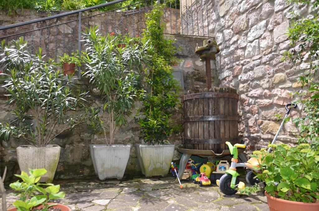 B&B La Terrazza Del Subasio Assisi Buitenkant foto
